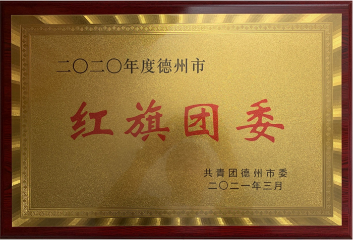 1651485891697687.png 德州市红旗团委.png